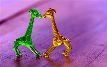 1257_20160623123057.jpg
