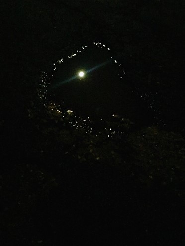1271_20191210204509.jpeg