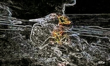 2269_20190624160947.jpg
